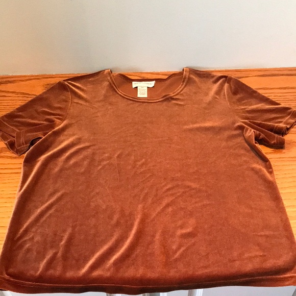 Draper’s & Damon’s medium petite velour short sleeve shirt. Like new condition! - Picture 1 of 7
